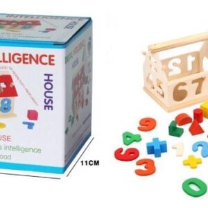Digital Intelligence Number House